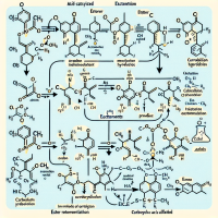 why ester hydrolysis is always performed in acid or basic medium? Give any one acid catalysed mechanism for  ester hydrolysis